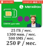 Тарифный план Мегафон Фортуна VIP 250